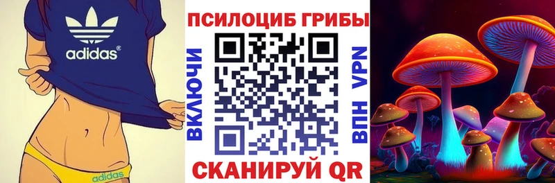 Купить  Троицк  Псилоцибиновые грибы мухоморы 